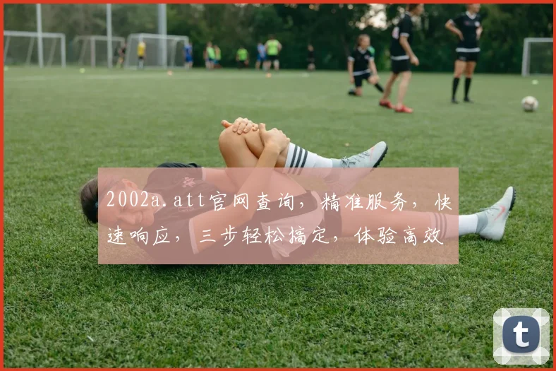 2002a.att官网查询，精准服务，快速响应，三步轻松搞定，体验高效便捷