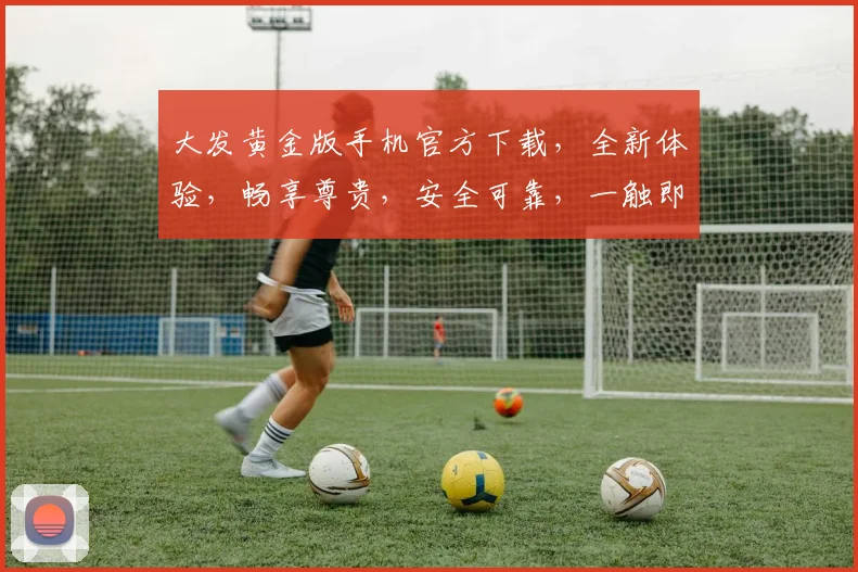 大发黄金版手机官方下载，全新体验，畅享尊贵，安全可靠，一触即达，不容错过，立即下载